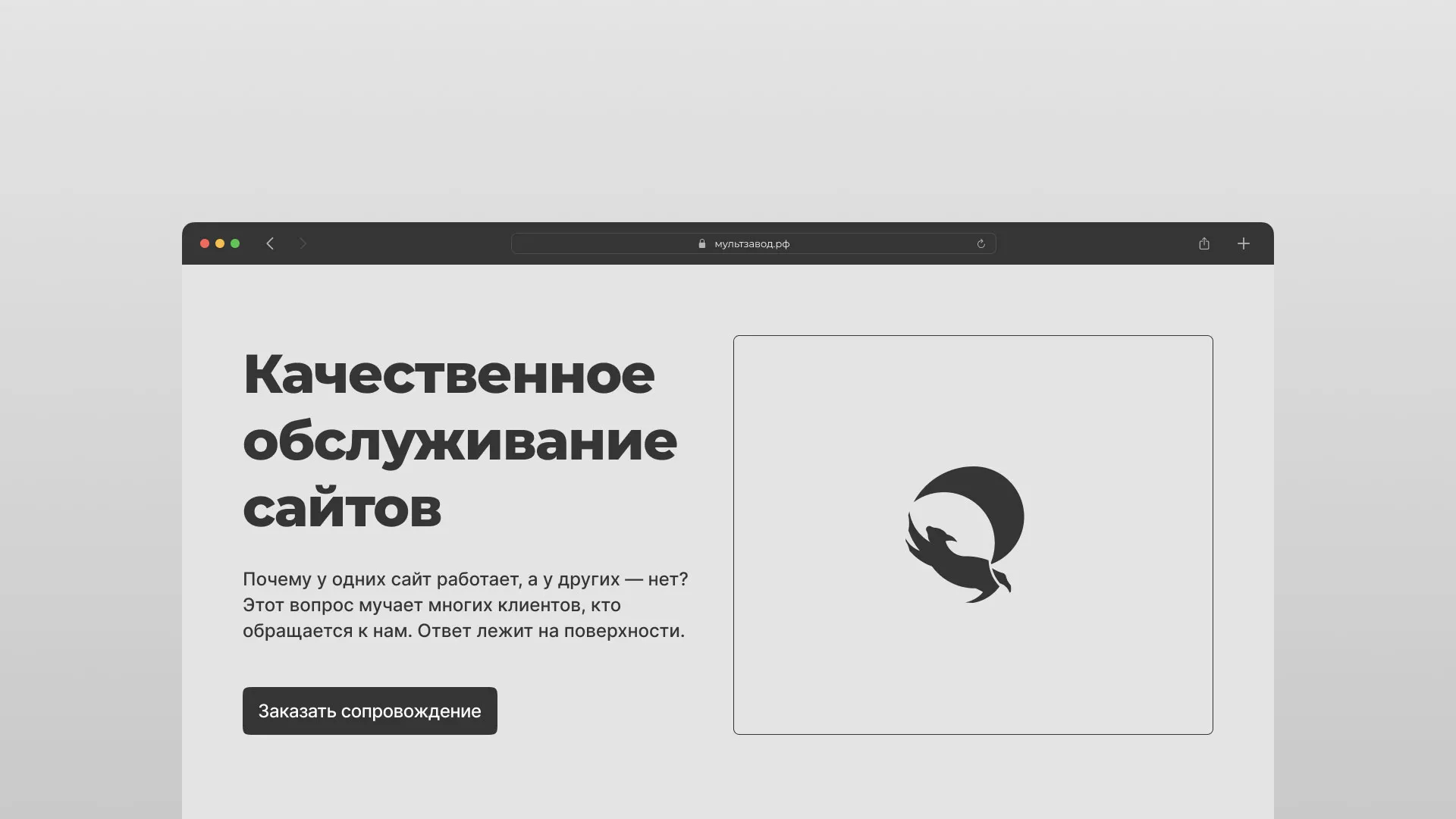 Комплексное сопровождение сайтов в Злынке
