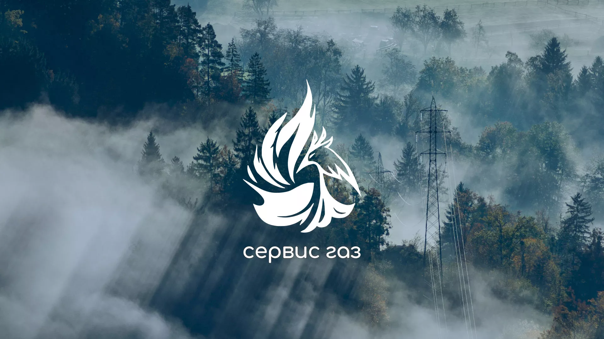 Создание сайта компании «Сервис газ» в Злынке