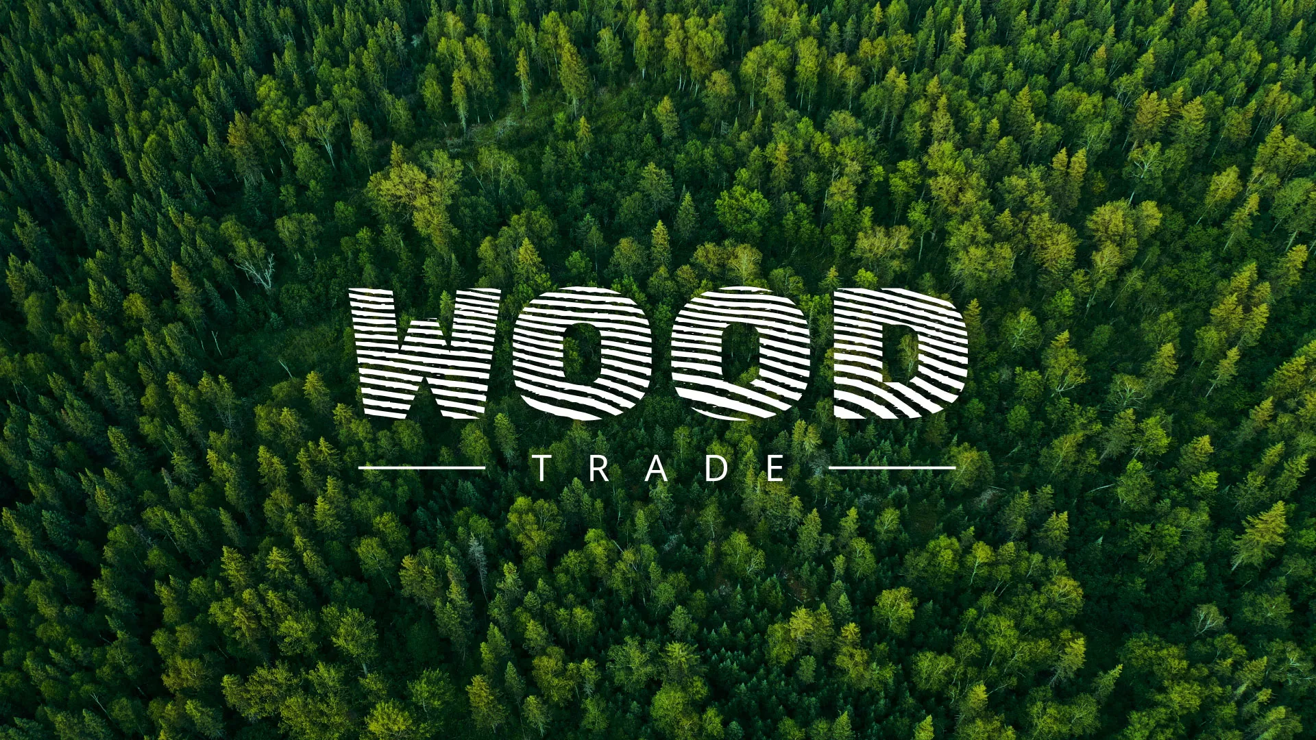 Разработка интернет-магазина компании «Wood Trade» в Злынке